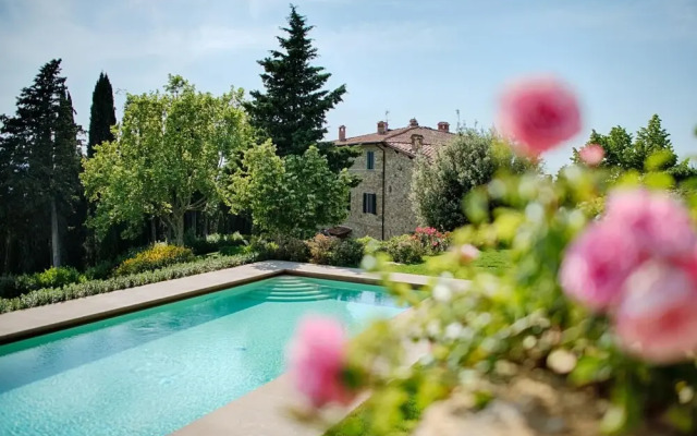 Luxury Chianti in Olive in Panzano Chianti