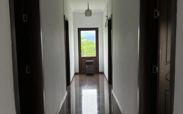 Guest House Rustaveli 301