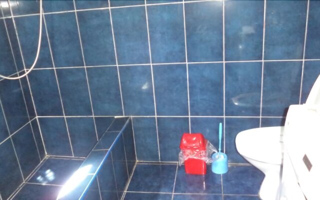 guesthouse metreveli