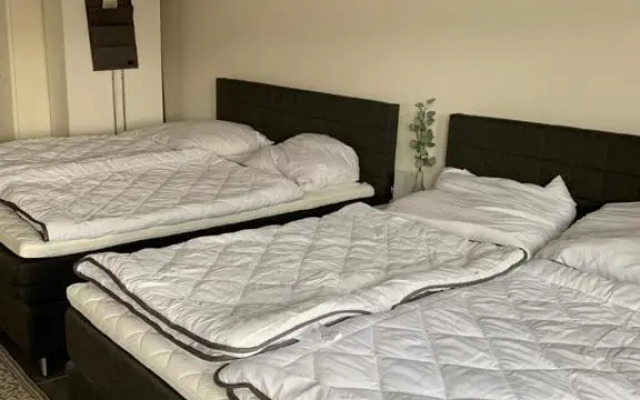 Ferienwohnungen an der Deichstraße - 2. OG