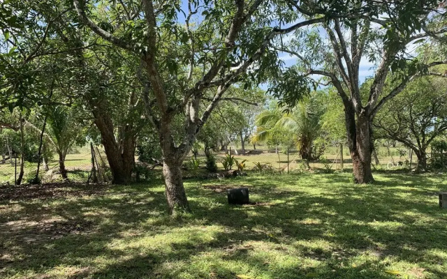 Odum shangri-la Belize