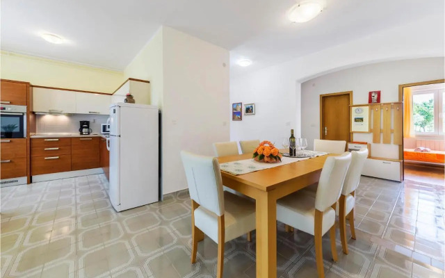 Apartment Nedescina 47