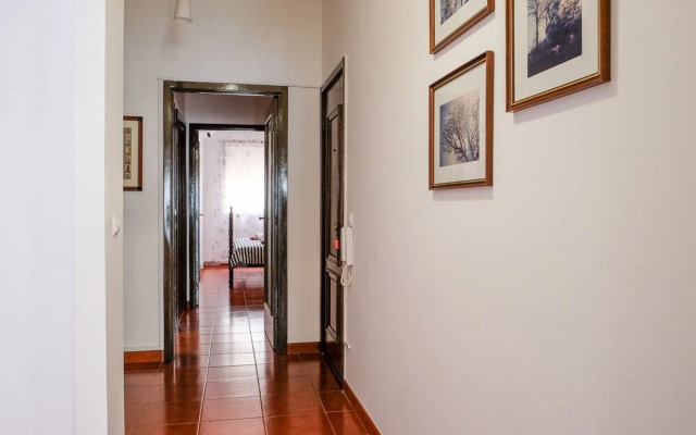 Aliados Delight by Homing