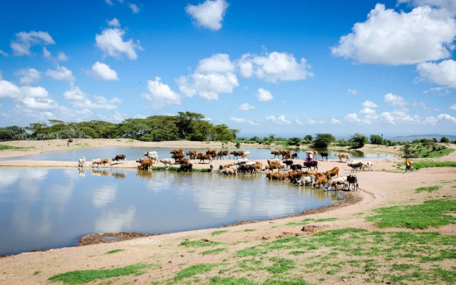 Maji Moto Maasai Cultural Camp