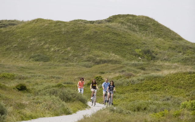 Detached Villa With Fireplace on Texel