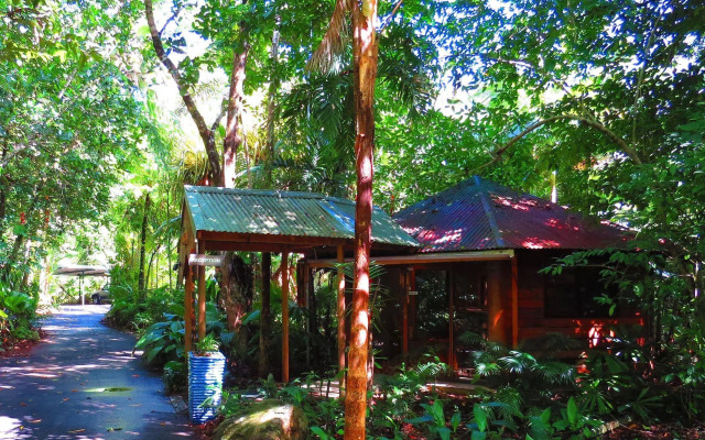 Daintree Rainforest Retreat