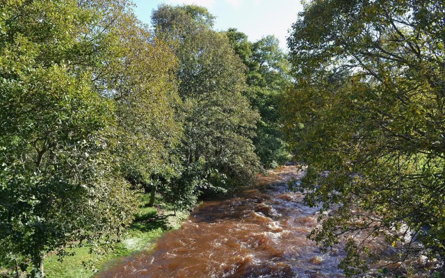 Cotterton Beag