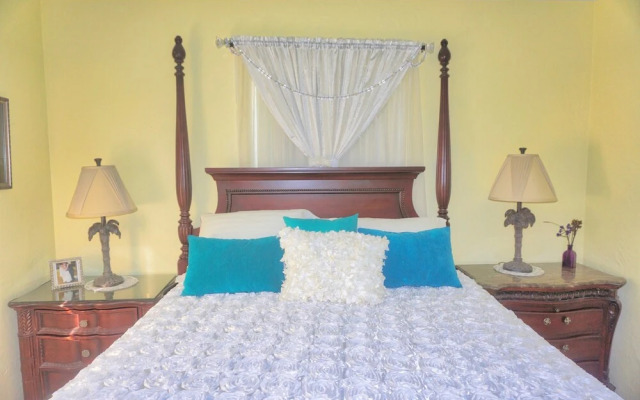 St Pete Beach, Backyard Sanctuary 154