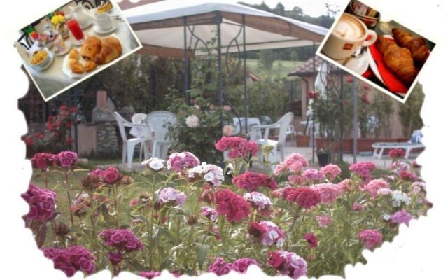 B&B Pergolato di Sotto