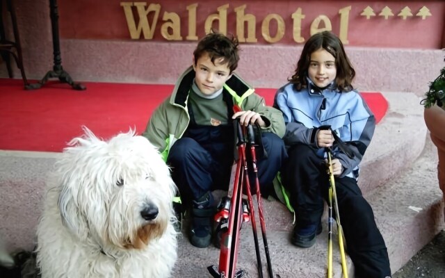 Waldhotel Seefeld