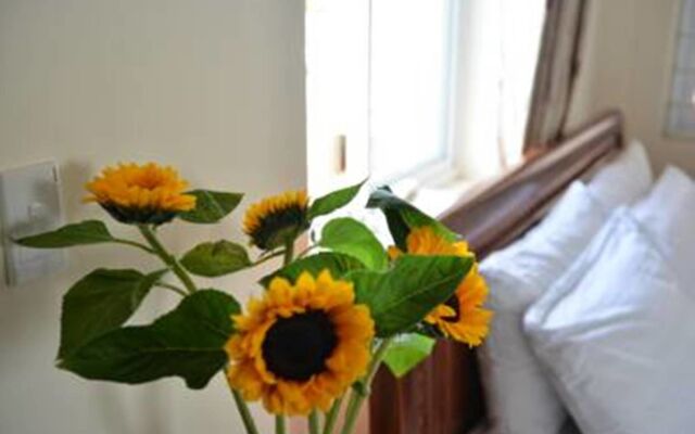 Vien Dong 2 Guesthouse