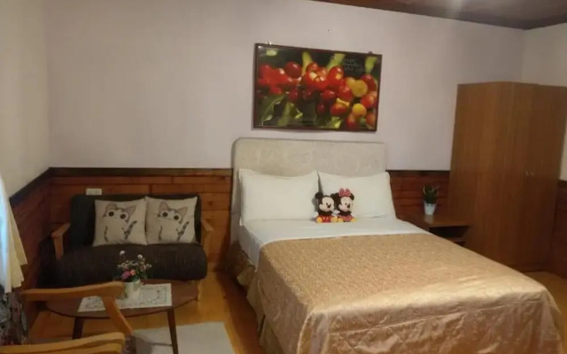 Hua Shan Hor Yuan Homestay