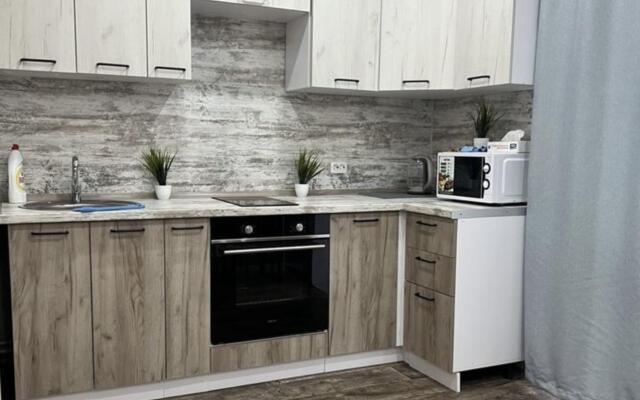 Апартаменты на улице Пискунова 136