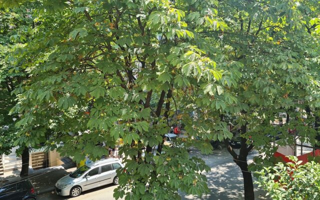 Artistic Tirana Blloku