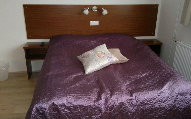 Hotel Grasteinn - Airport Hotel