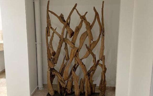 Magnifique Villa à 100 m plage climatisation Vue mer exceptionnelle