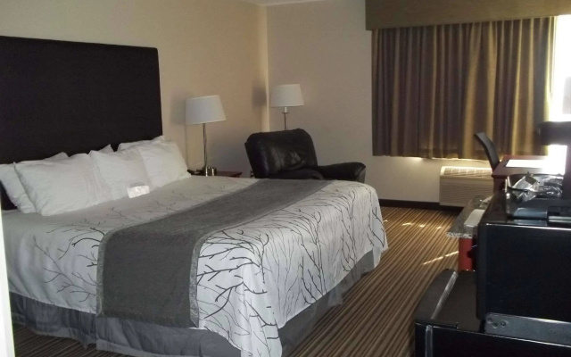 Best Western Park Oasis Inn