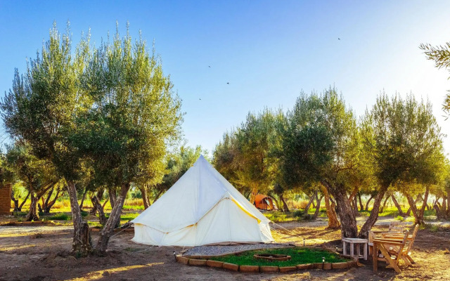 Guadalupe Valle Glamping