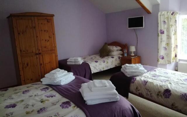 Ty Newydd Bed and Breakfast