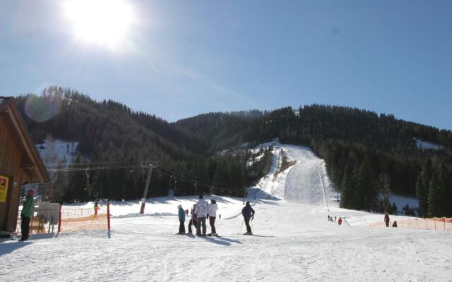 Nice Chalet in Hohentauern / Styria With Sauna