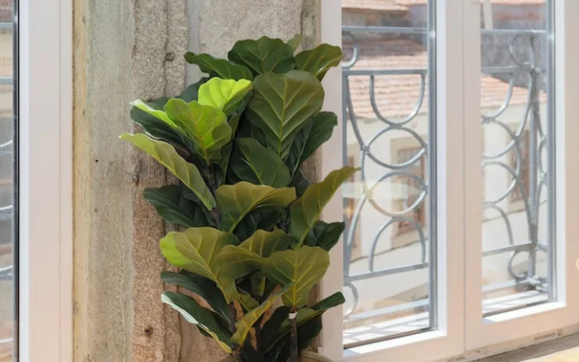 Liiiving in Gaia - THE WINE SIDE IV