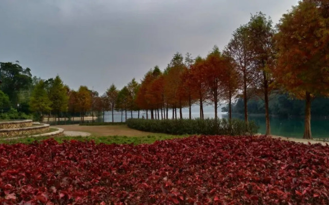 Sun Moon Lake FRIDAY Inn Guest House