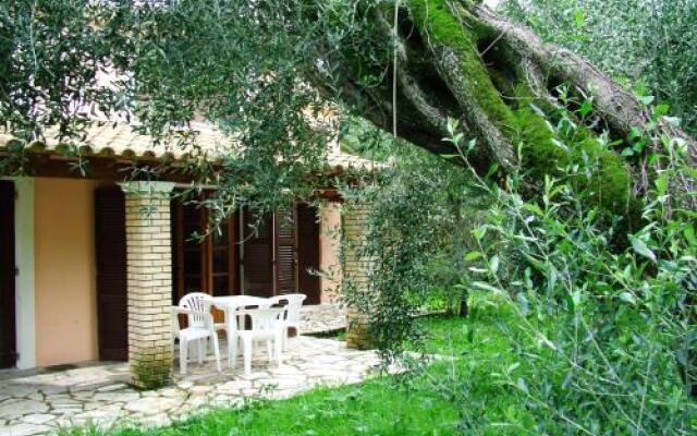 Villa Olive