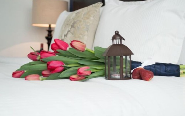 Suites Berna 12