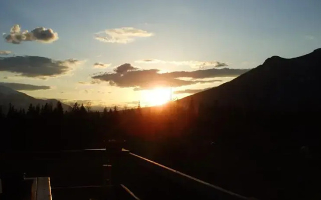 Bear Corner Adventures Bed & Bale