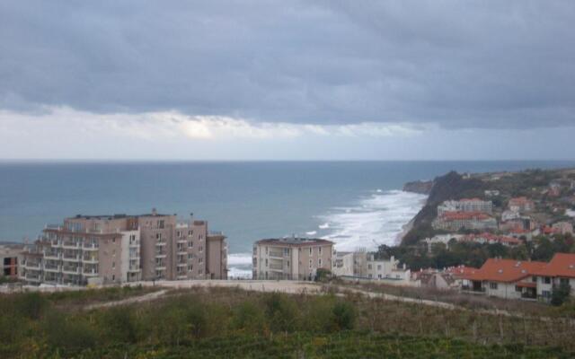 Villa Byala Grape House