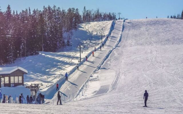 Villa koivutupa, incl. 2 ski passes