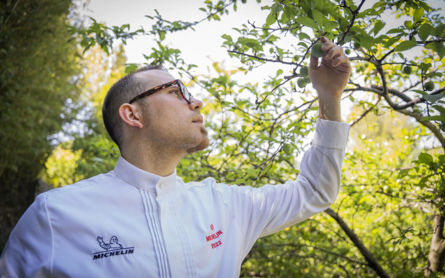 Hotel Villa Edera e La Torretta