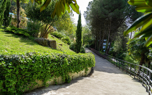 Sotis Galaxy on Kurortny Avenue 105