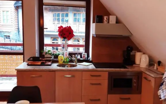 Apartament Róża 2 Sauna & Jacuzzi Jaszczurówka 21a