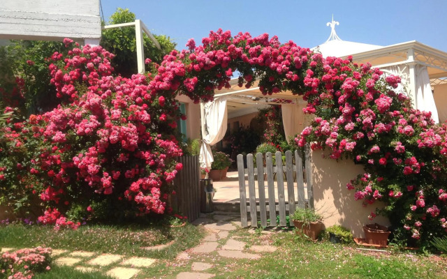 Park Hotel Asinara