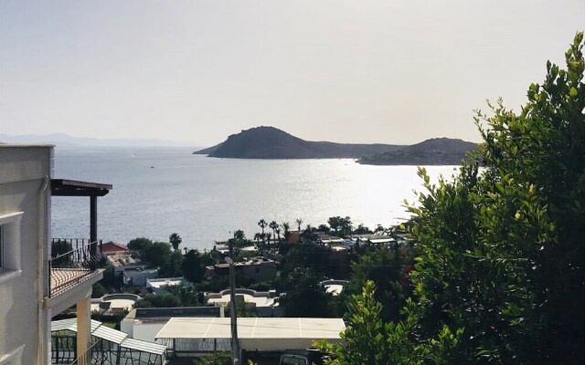 BO093 by Villaofsummer