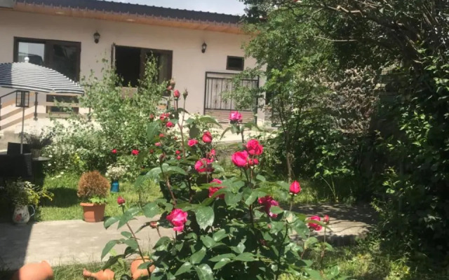 Soso Burduli's Guesthouse
