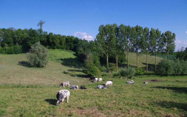 Au Natur Ailes des Collines