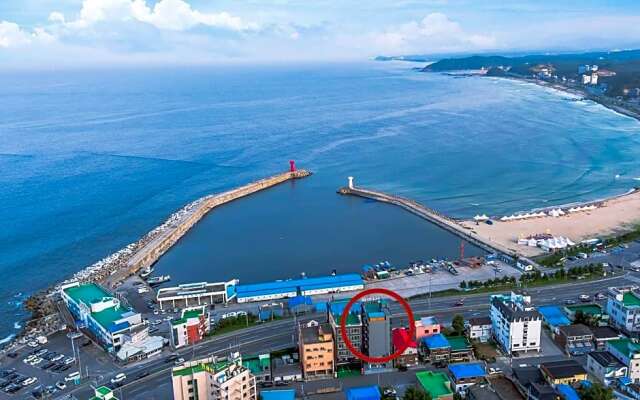 Yangyang Hotel Carrot