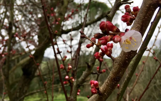 Agriturismo Alle Rose