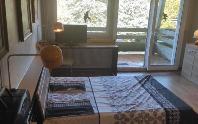 Résidence le Faucon - Col du Donon