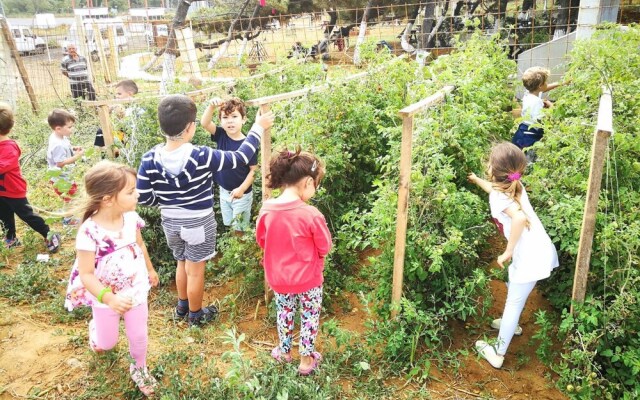 Atlitur Gumusdere Beach Camp
