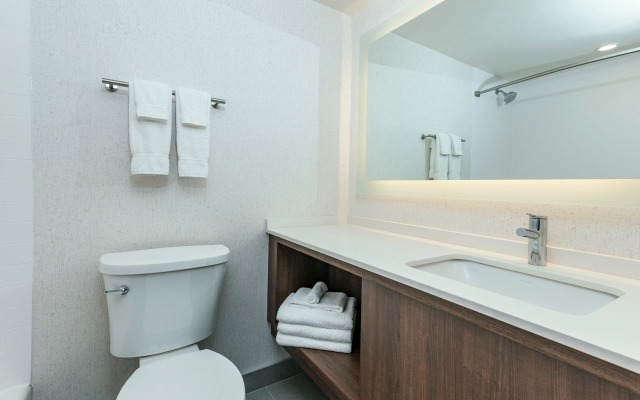 Holiday Inn Kingston Waterfront by IHG