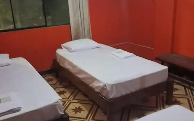 Plaza Jungle Hostel