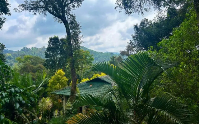 Young Island - Coorg