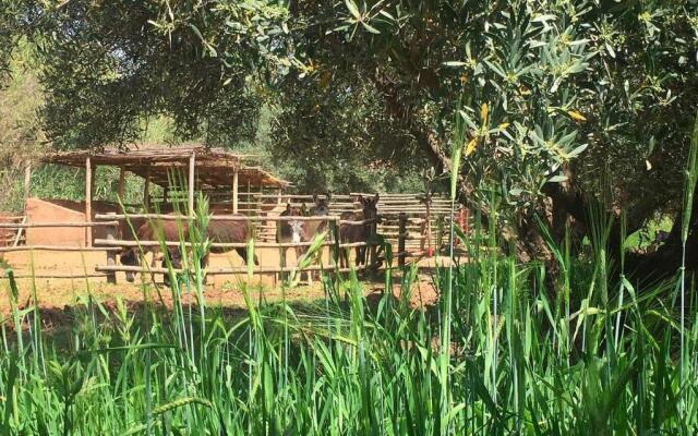 La Ferme Berbère