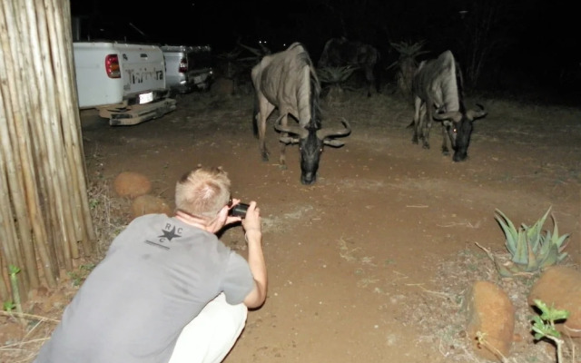 Kruger Inn Backpackers
