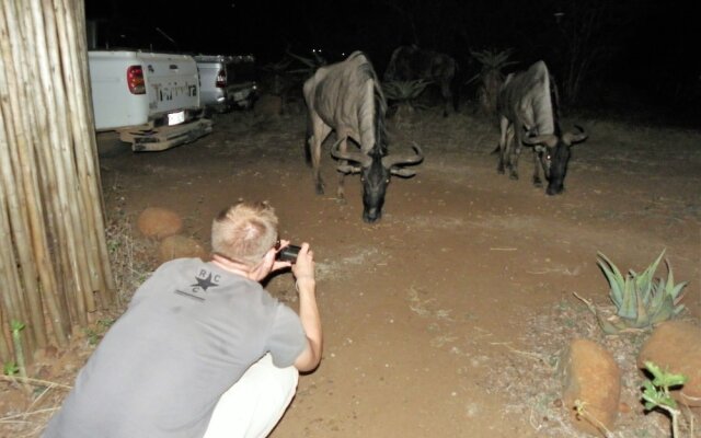Kruger Inn Backpackers