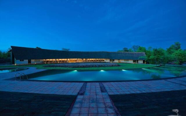 Red Earth Tadoba