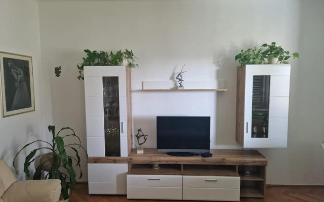 Spacious apartment in the center